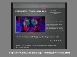 Hunchback Kruppel Giant