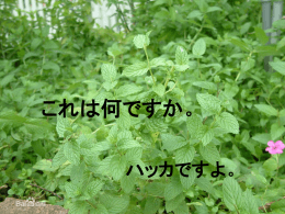 幻灯片1