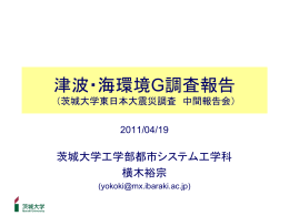 津波被害 横木裕宗教授（工学部）