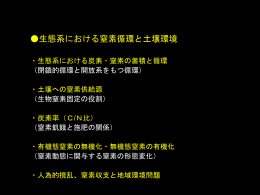 土壌窒素の循環と土壌環境