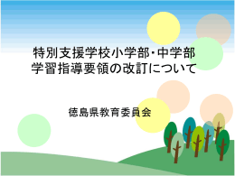 知的障害者である児童又は生徒に対する教育を行う特別支援学校