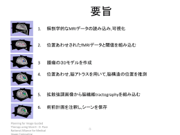 要旨 - National Alliance for Medical Image Computing
