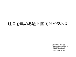 注目を集める途上国向けビジネス