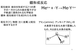 授業で用いたPPT