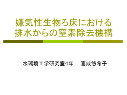 嫌気性生物ろ床における排水からの窒素除去機構