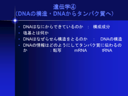 DNAの構造・DNAからタンパク質へ