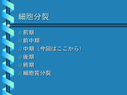 プレゼンテーションのダウンロード