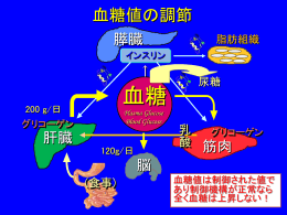 pttファイル 松田