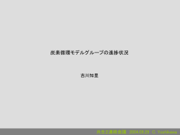 炭素循環モデルグループの進捗状況 (yoshikawa_04.09.29