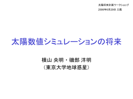 数値シミュレーション将来計画（横山・磯部）