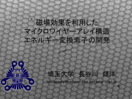 マイクロワイヤーアレイ構造エネルギー変換素子の開発