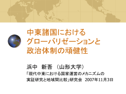 中東諸国における グローバリゼーションと 政治体制の頑健性