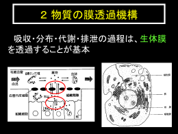 薬剤学Ⅰ 2. 物質の膜透過機構