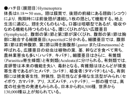適応的になりうる。