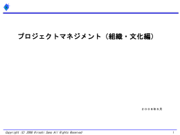 プロジェクトマネジメント（組織＆文化編）＊2ファイルにまとめました：09年