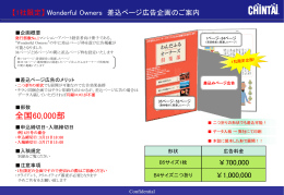 Wonderful Owners差込ページ広告企画概要書