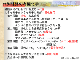 講義資料