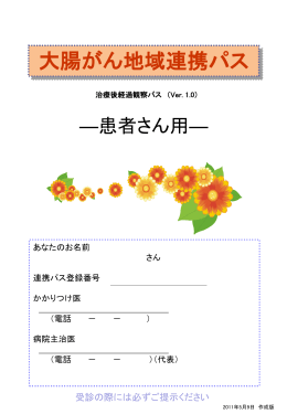 治療計画表私のカルテ（大腸）
