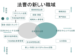 法曹の新しい職域グランドデザイン