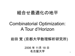 組合せ最適化の地平