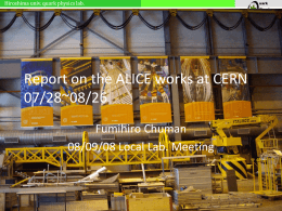 Report on the ALICE works at CERN
