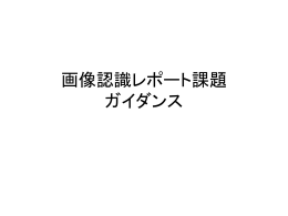 PPT版