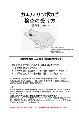 ツボカビ検査の結果 - bYTEBoss