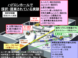 K - 中間子核(E15)