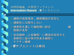 プレゼンテーションのダウンロード