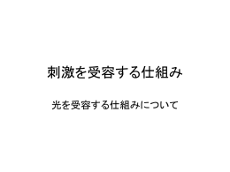 眼の働き - nifty