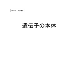 B－2 スライド(パワーポイント