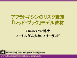 Charles Yoe博士のスライド