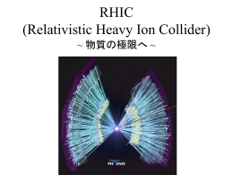 RHIC (Relativistic Heavy Ion Collider)