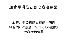 血管平滑筋と狭心症治療薬