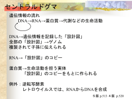 講義資料