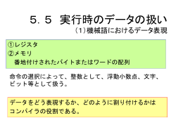 5 実行時のデータの取扱い