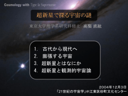 Cosmology with Type Ia Supernovae