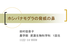 昨年の例