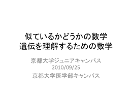 葉 ふし 点 辺 パターン数
