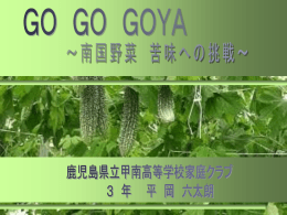 パワーポイント：3.27MB