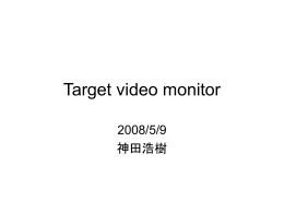Target video monitor