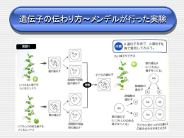遺伝子の伝わり方〜メンデルが行った実験