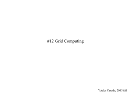 12 Grid Computing