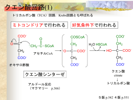 講義資料