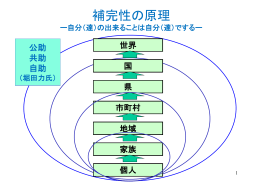 補完性原理・自助共助公助・新しい公共