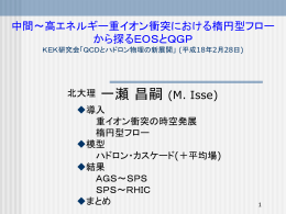 高エネルギー重イオン反応による 原子核状態方程式の探求 学位