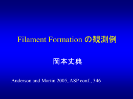 Extraordinar long filament の進化