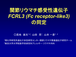 PPTファイル