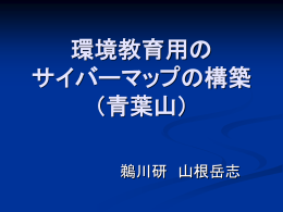 ppt版