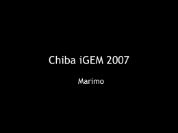 Marimo - iGEM 2007